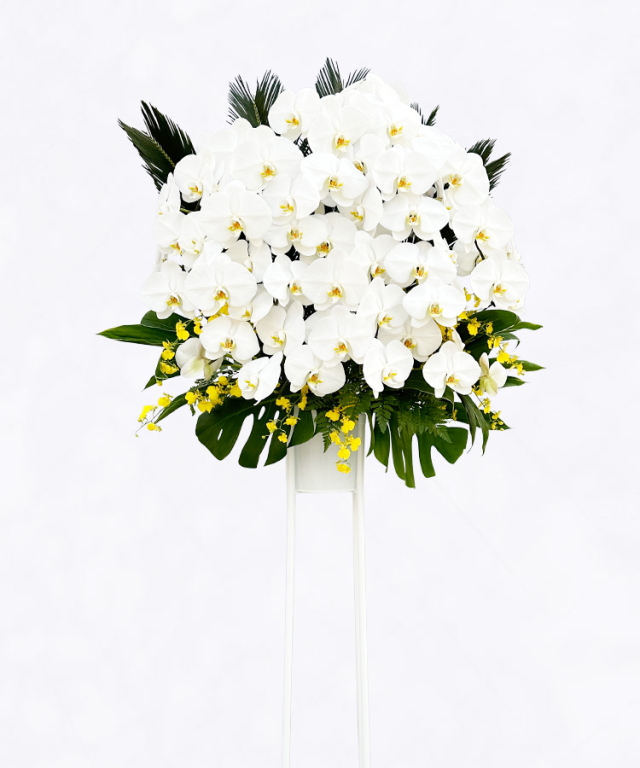 スタンド　スタンダード　メイン