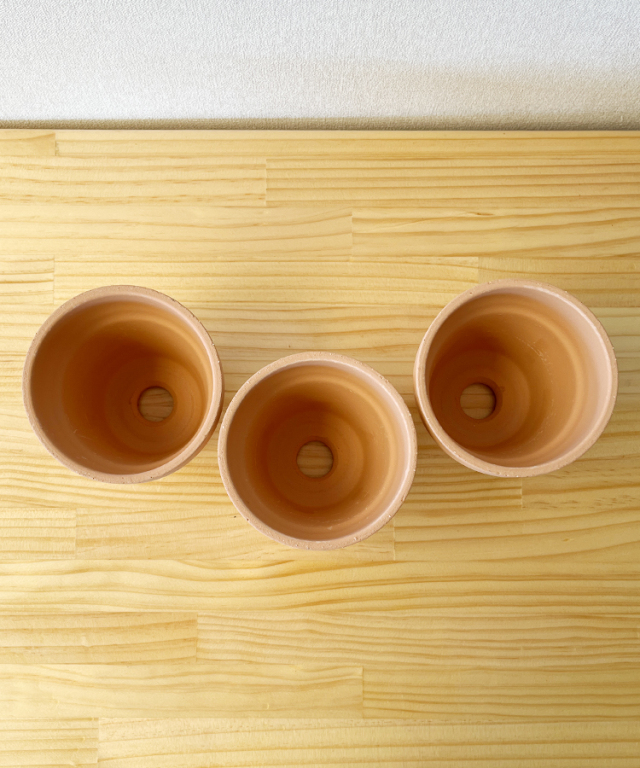 洋らんの植替えセットA ｜お祝いギフトなら胡蝶蘭専門店【らんや】