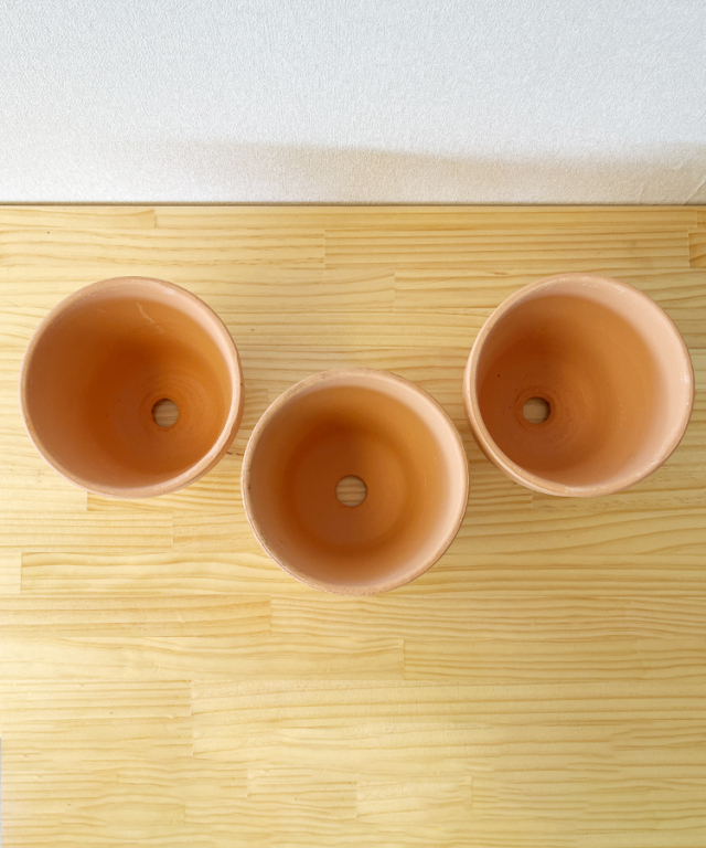 洋らんの植替えセットA ｜お祝いギフトなら胡蝶蘭専門店【らんや】