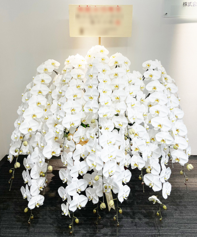 造花　胡蝶蘭白　５本立ち　お祝い花　お供え花 胡蝶蘭(白)5本立ち｜開店祝いや設立・移転祝いの豪華な胡蝶蘭