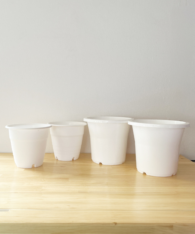植替えセット　プラ鉢２種×２個　横