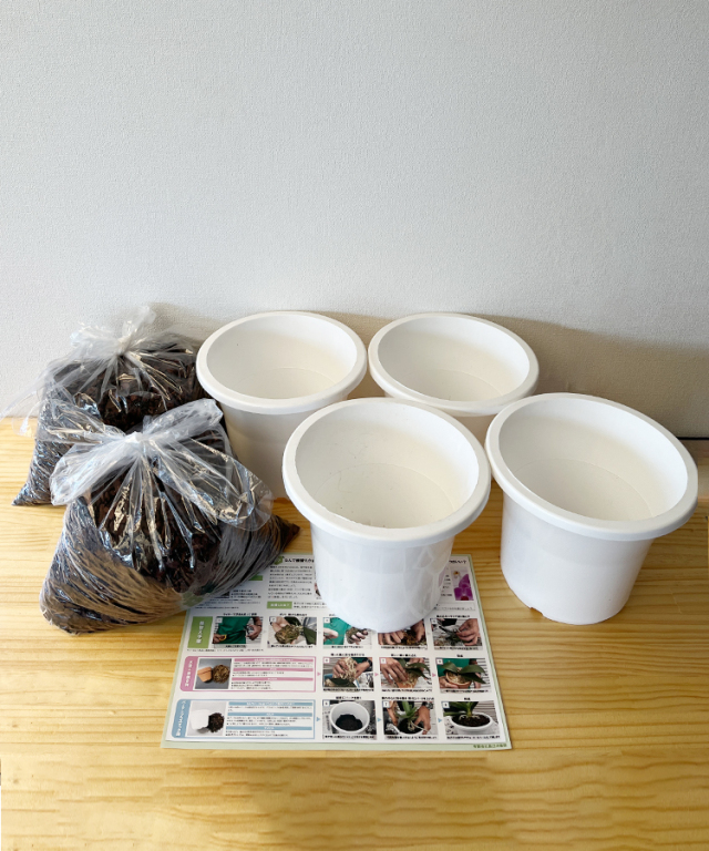 植替え資材｜胡蝶蘭専門店 【らんや】｜黒臼洋蘭園通販