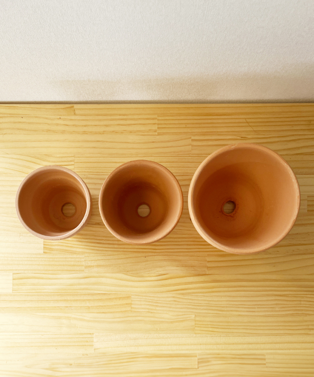 洋らんの植替えセットA ｜お祝いギフトなら胡蝶蘭専門店【らんや】