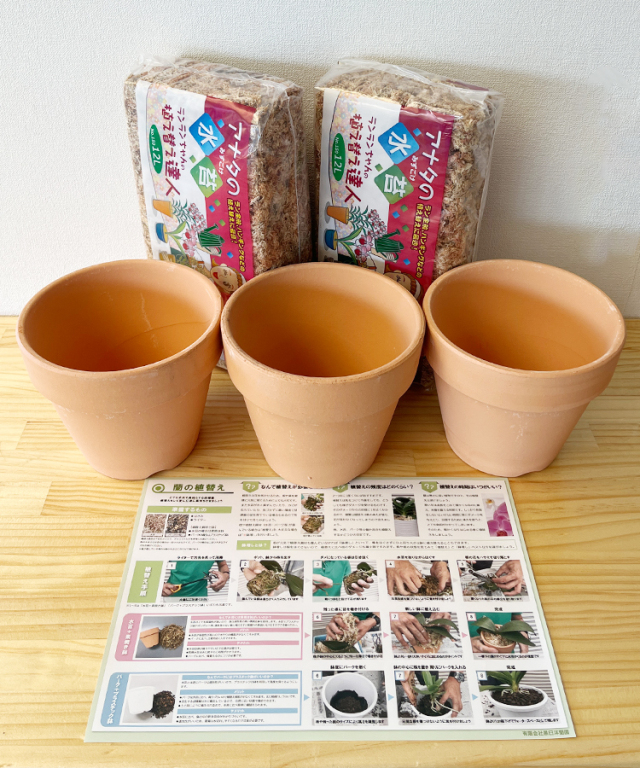 植替えセット　素焼き鉢5号　