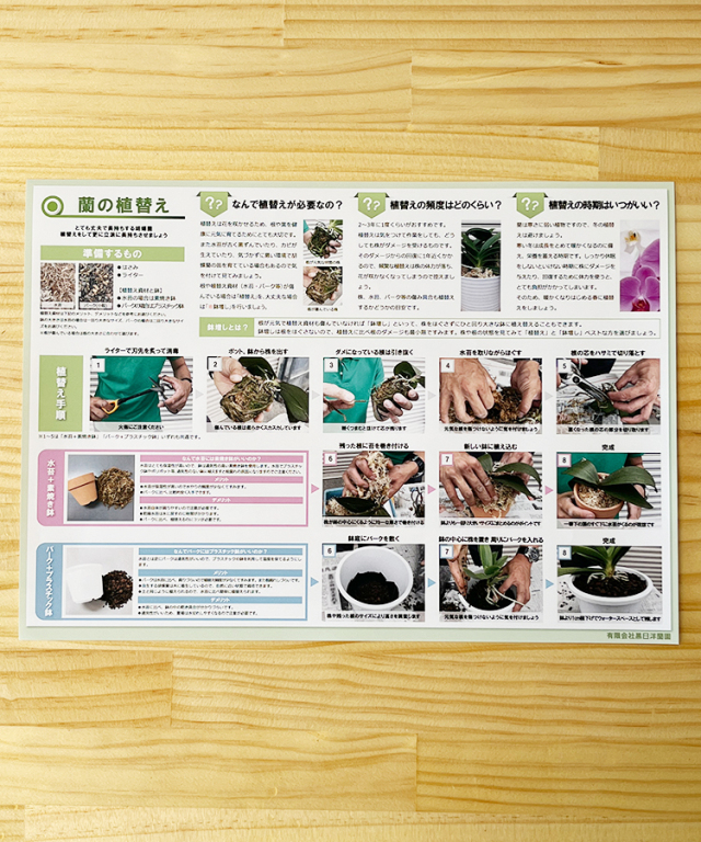 植替え手順書