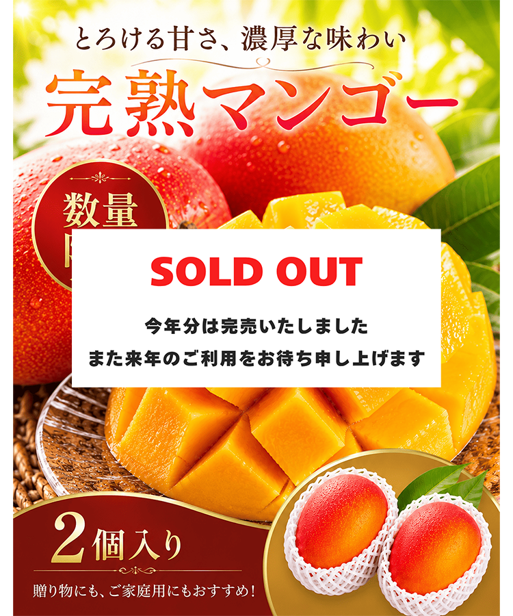完売　マンゴー　2個