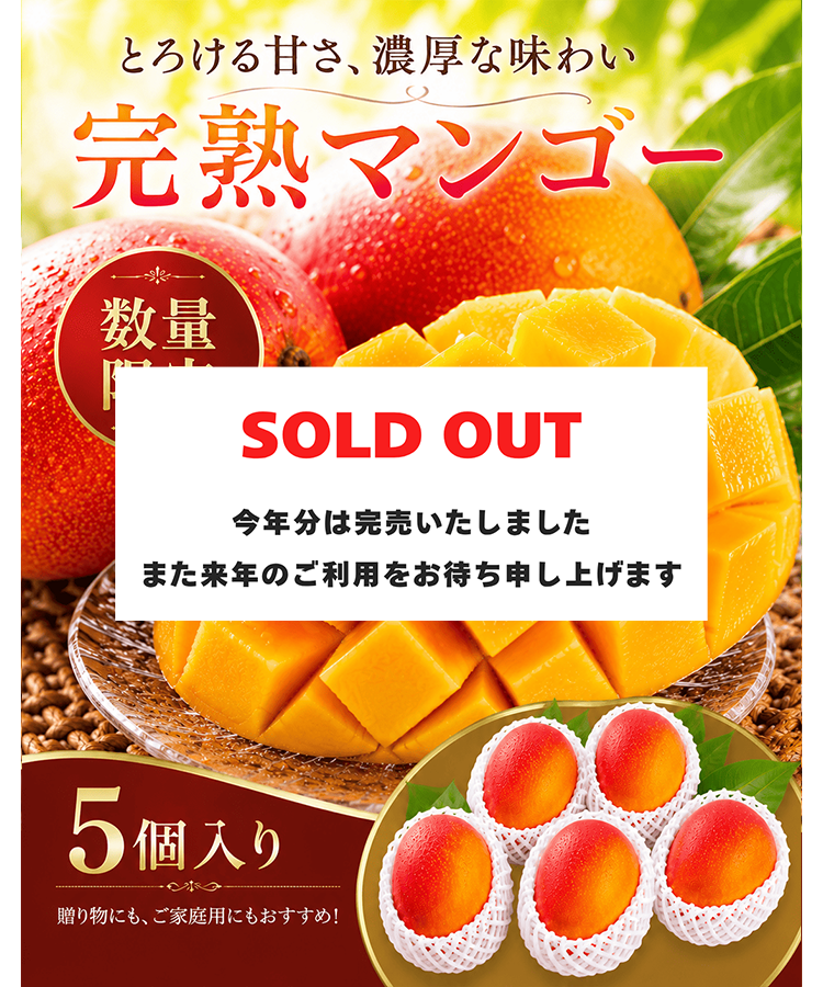 完売　マンゴー　５個