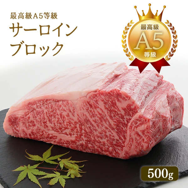 A5等級 神戸牛 サーロイン ブロック 500g