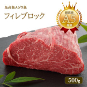 A5等級 神戸牛 フィレ ブロック 500g