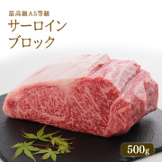 A5等級 神戸牛 サーロイン ブロック 500g