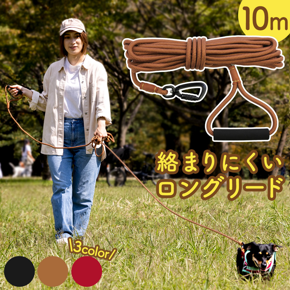 ロングリード【10m】