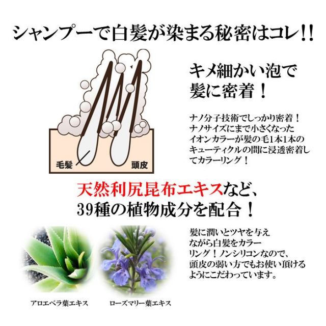 利尻昆布エキス配合 「昆布の白髪用カラートリートメント」 2本セット