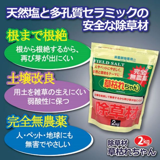 【裁断済み】野草 薬草 サバイバル 自給自足 自然農 など ２３冊セット JPPAオンラインストア