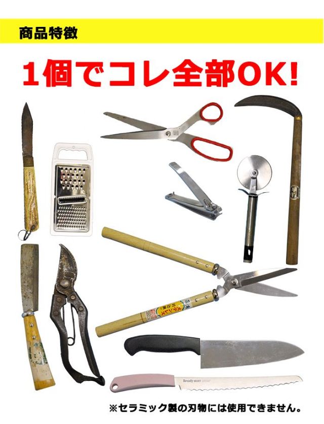 マルコフ家のソリン　日1枚 日下部恭平 『くーやんの「今」、これを買え！』第302回【BIGWEB