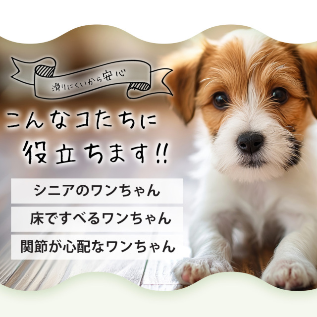 ペット用滑り止めフットパッド PAW WING （Grip plus）【3個組】☆PAW