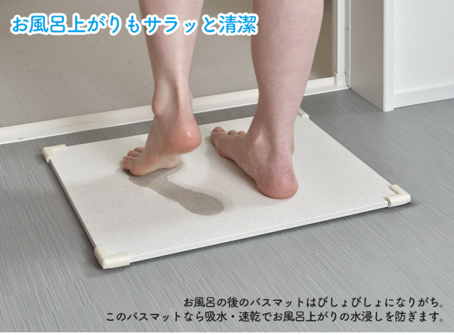 11000円 りんたけ バスマット tortoise2l_1.jpg