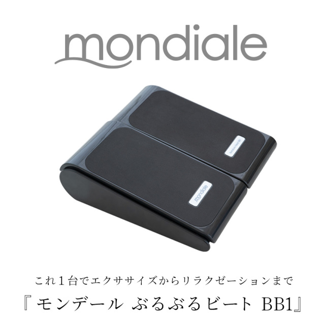 モンデールぶるぶるビート BB1☆これ1台でエクササイズから