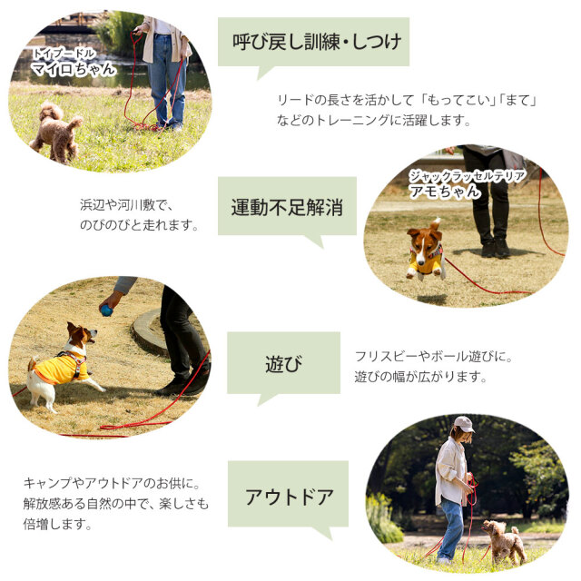【Mappin Webb】 ギャラリートレー 49cm ロングタイプ 大型 ロングリード【20m】☆広い河川敷や公園で、愛犬が思いっきり走り回れる