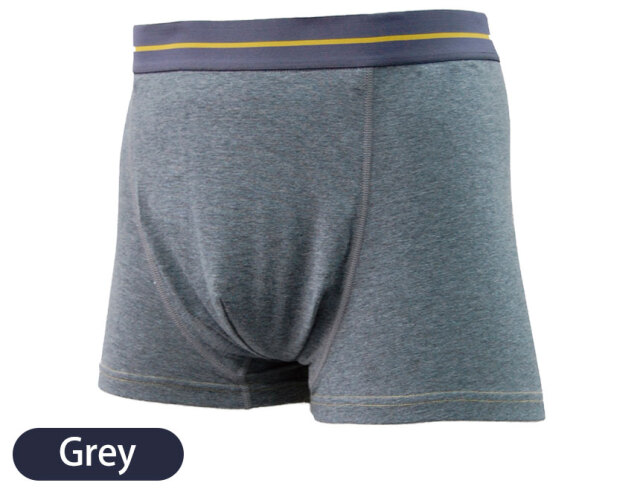 吸水消臭スマートボクサーパンツ3枚組 鉄仮面☆見た目は普通のパンツ