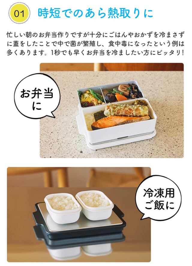 GEL-COOL 急冷コールドプレート☆保冷もあら熱とりもできる2wayプレート