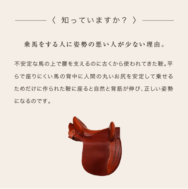 馬具マットプレミアムアドバンス☆シリーズ累計販売数46万個！馬具を