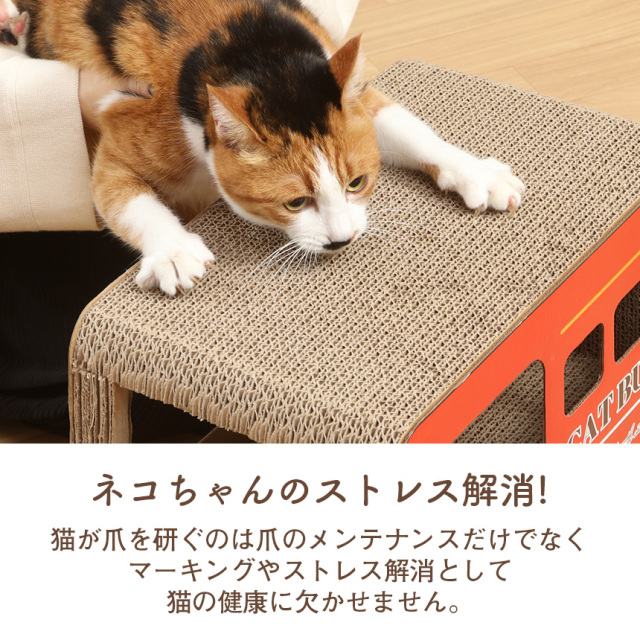 猫の爪とぎ☆ネコちゃんのストレス解消！