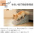 モバイル画像