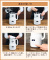 モバイル画像