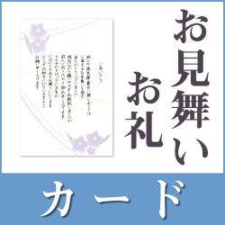 【名前なし】お見舞いお礼用挨拶状（カードタイプ）