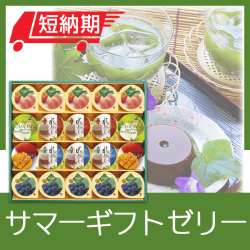 サマーギフトゼリー　No.30