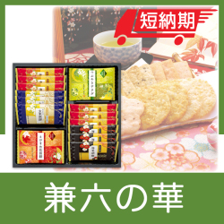 兼六の華　No.10