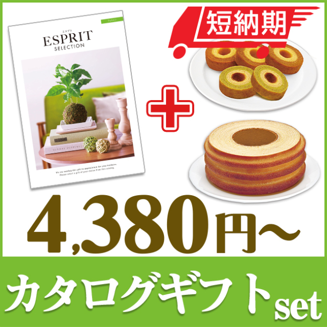 【半額以下！】カタログギフトエスプリエレガンスコース10冊まとめ売り値引き 半額以下！】カタログギフトエスプリエレガンスコース10冊まとめ売り