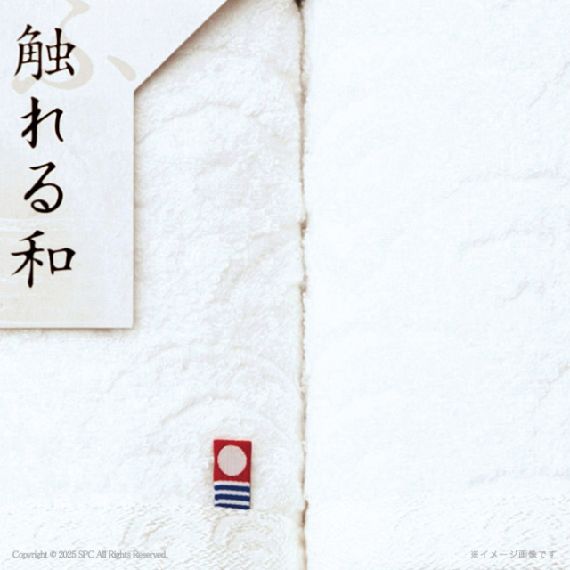 触れる和 青海波 今治ウォッシュタオル2P No.15 割引き商品 【割引き