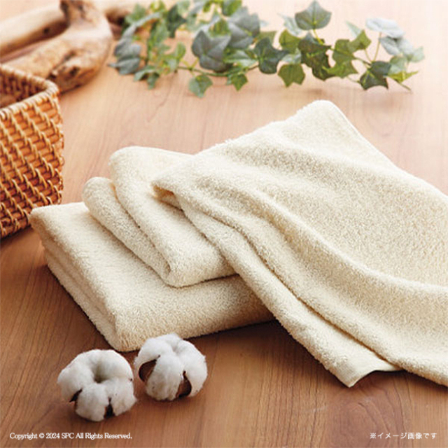 オーガニックコットンフェイスタオル No.10（エコのし限定）【割引き