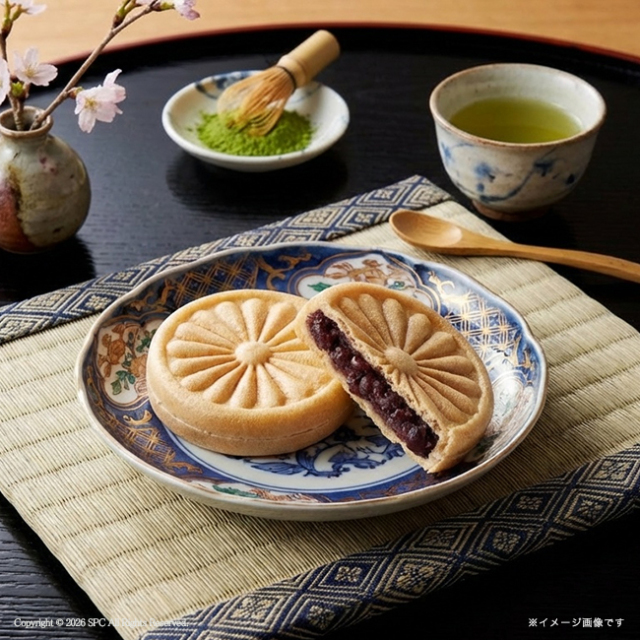 【2000円値引き中】栄養士まとめセット　計20冊セット！バラ売可能 風雅甘々 もなか詰合せ No.15（エコのし限定）【割引きクーポン対象