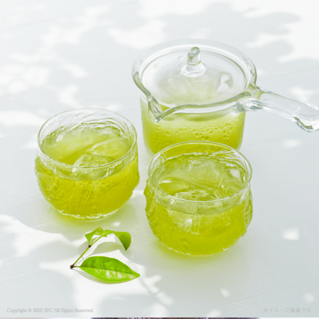 九州産抹茶水出し煎茶ティーバッグ No.11 | 初盆・新盆のお返し