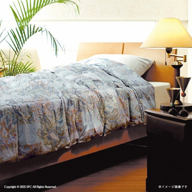 送料無料】 ヴァレンティノ・クリスティー ウォッシャブル羽毛肌掛け