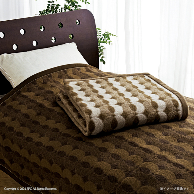 送料無料】 グランフランセヌーベル ウール毛布（毛羽部分）2P No.500