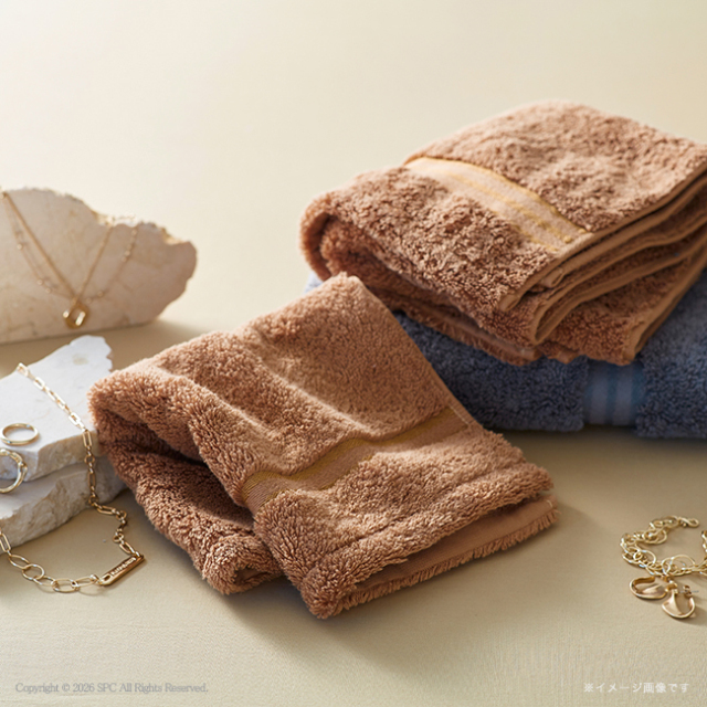 TEDDY ASH〈テディアッシュ〉 ハンドタオル No.5 （グレー）（エコのし