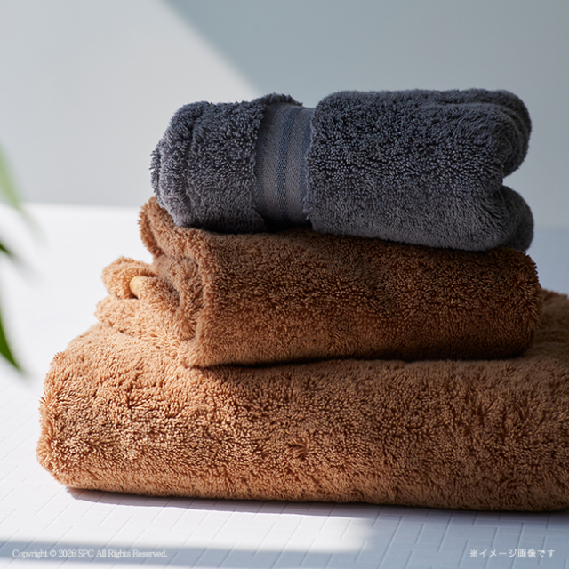 TEDDY ASH〈テディアッシュ〉 ハンドタオル No.5 （グレー）（エコのし