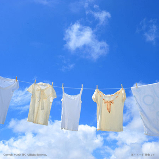 ク*ロ様 ナノトラクションセット 干支 十二支セット | CATALOG | nanoblock® | ブランド一覧