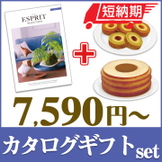 【短納期対応】カタログギフトセット 【エスプリ　カジュアルコース＆選べるバームクーヘン】