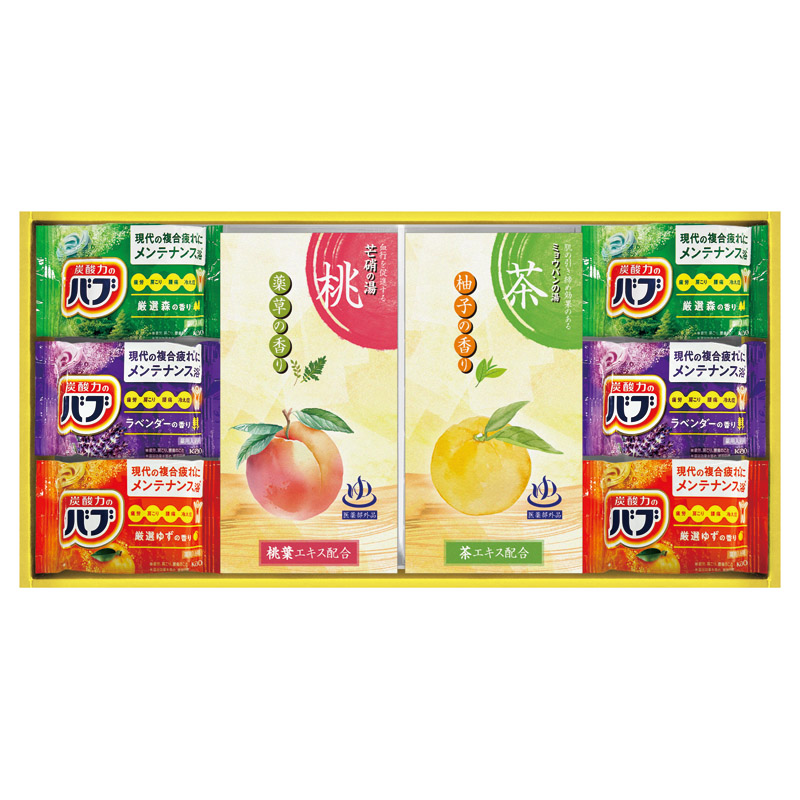 【一括お届け】炭酸力の薬用入浴剤セット B2076-054