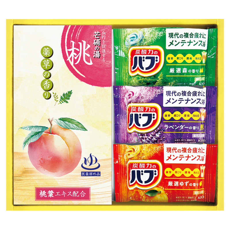 【一括お届け】炭酸力の薬用入浴剤セット L1134-078