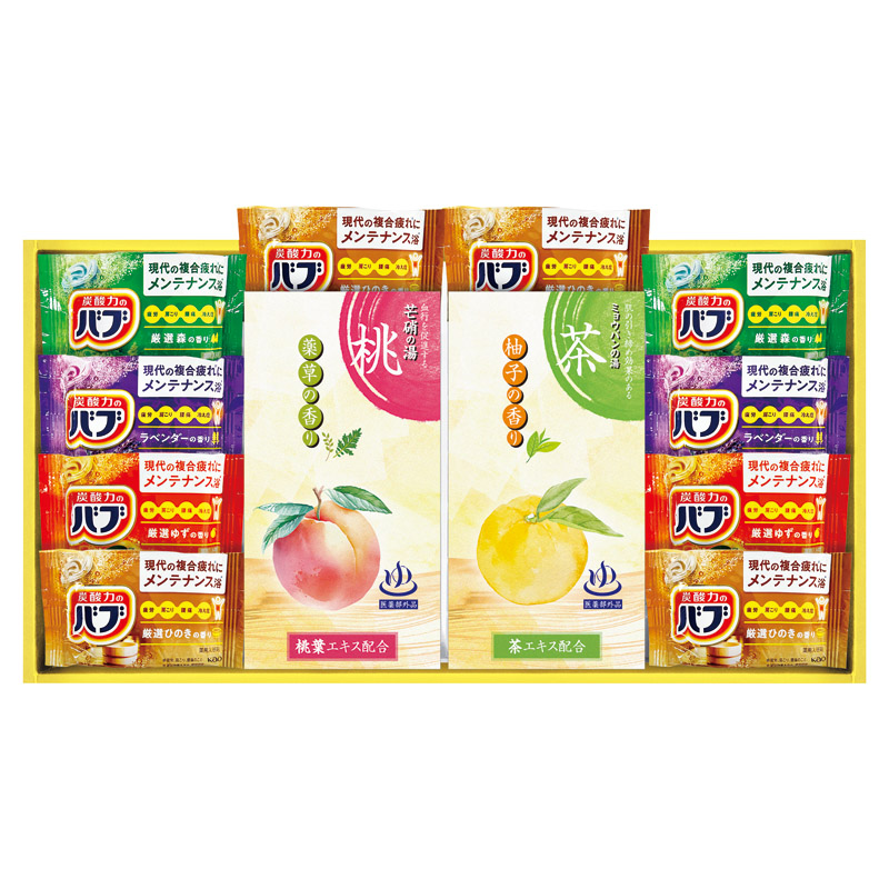 【送料無料】炭酸力の薬用入浴剤セット L1134-128