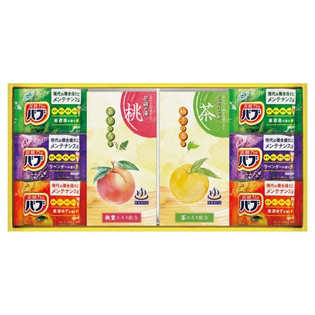 【一括お届け】炭酸力の薬用入浴剤セット B2076-054