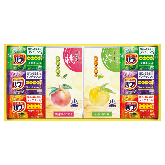 入浴剤 10種の植物エキス 2種類セット 炭酸力の薬用入浴剤セット（B2076-054）｜一括お届け｜香典返しe-shop