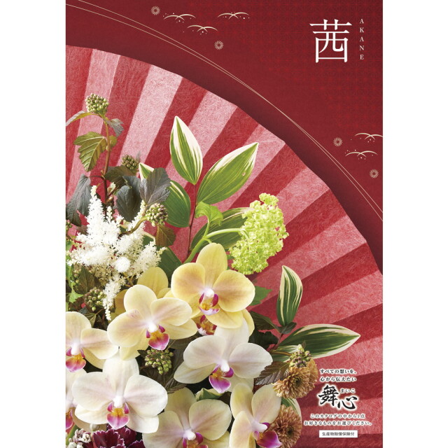 【送料無料】48101マイハート茜-あかね-