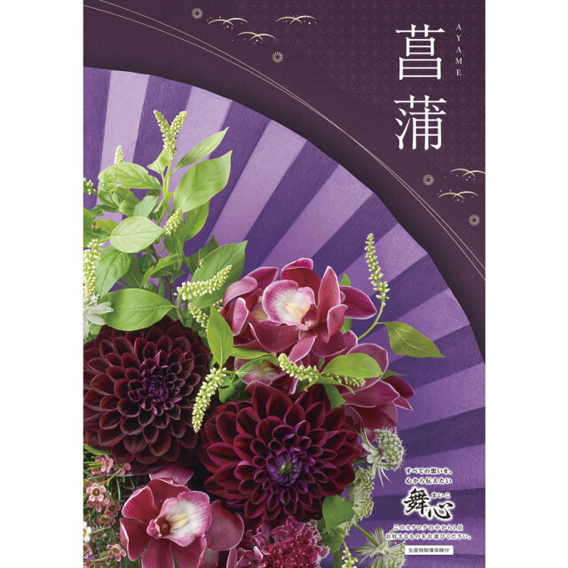 【送料無料】48121マイハート菖蒲-あやめ-