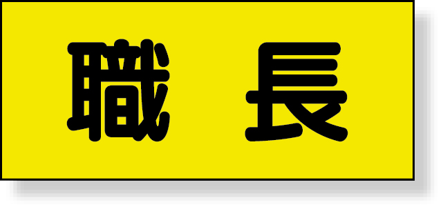 379-666 差込式ベスト用差込シート　職長